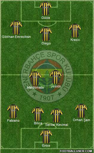 Fenerbahçe SK Formation 2016