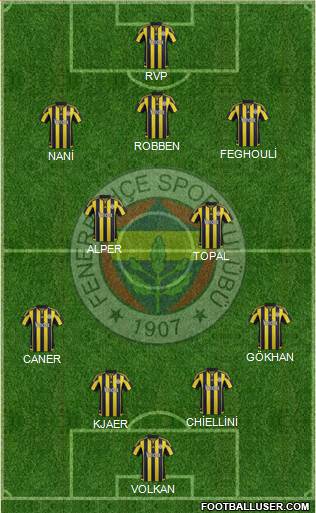 Fenerbahçe SK Formation 2016