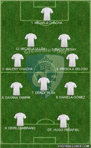 Grenoble Foot 38 Formation 2016