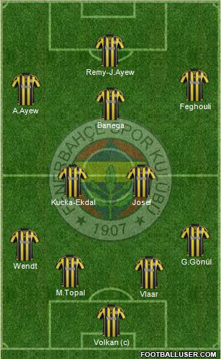 Fenerbahçe SK Formation 2016