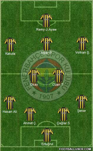 Fenerbahçe SK Formation 2016