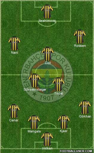 Fenerbahçe SK Formation 2016