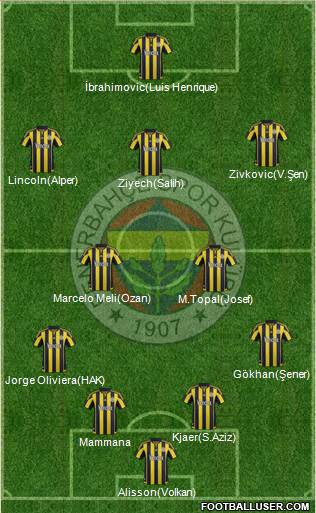 Fenerbahçe SK Formation 2016