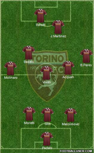 Torino Formation 2016