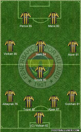 Fenerbahçe SK Formation 2016