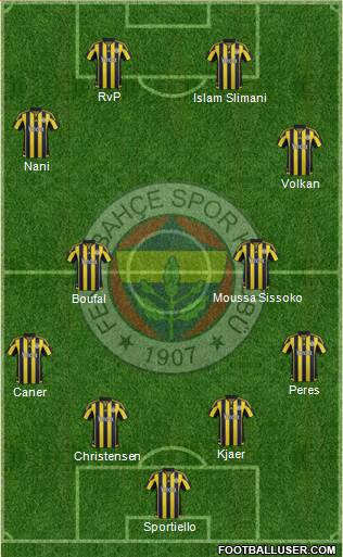 Fenerbahçe SK Formation 2016