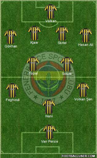 Fenerbahçe SK Formation 2016