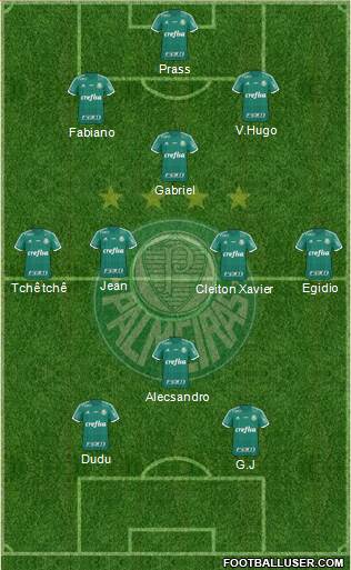 SE Palmeiras Formation 2016