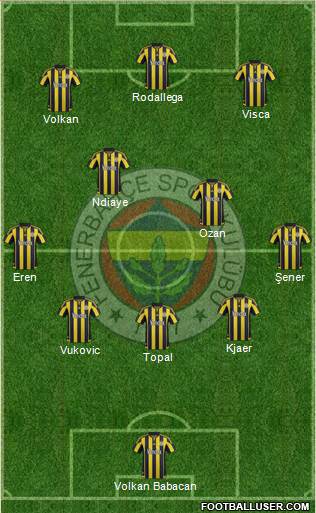 Fenerbahçe SK Formation 2016
