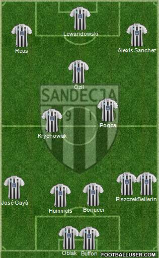 Sandecja Nowy Sacz Formation 2016