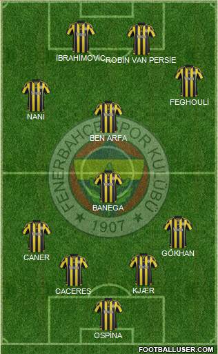Fenerbahçe SK Formation 2016
