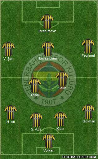 Fenerbahçe SK Formation 2016