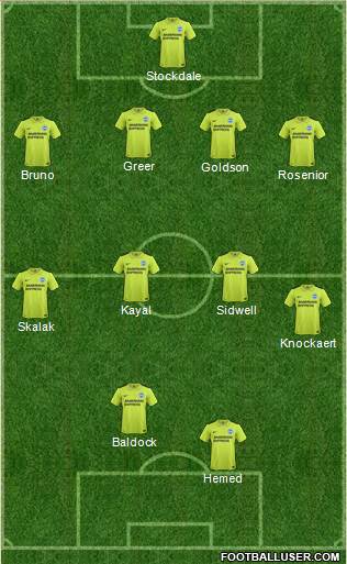 Brighton and Hove Albion Formation 2016