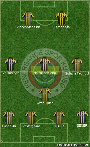 Fenerbahçe SK Formation 2016