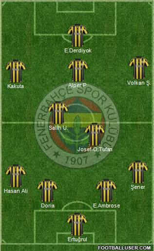 Fenerbahçe SK Formation 2016