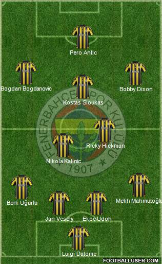 Fenerbahçe SK Formation 2016