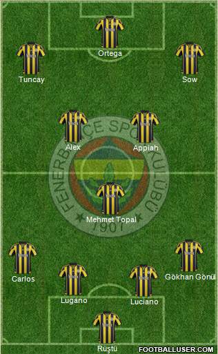 Fenerbahçe SK Formation 2016