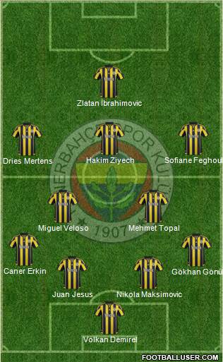 Fenerbahçe SK Formation 2016