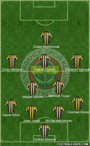 Fenerbahçe SK Formation 2016