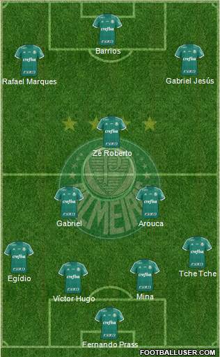 SE Palmeiras Formation 2016