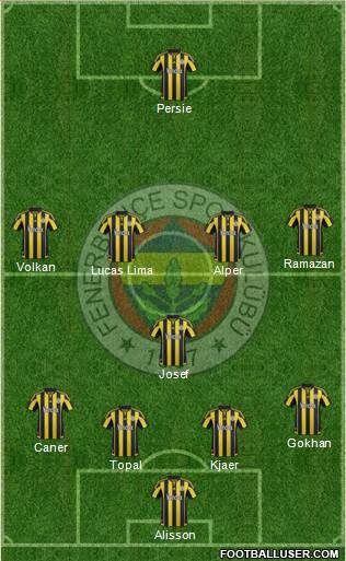 Fenerbahçe SK Formation 2016