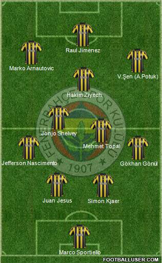 Fenerbahçe SK Formation 2016