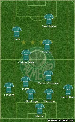 SE Palmeiras Formation 2016