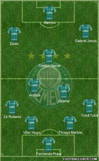 SE Palmeiras Formation 2016