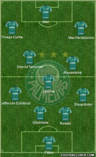 SE Palmeiras Formation 2016