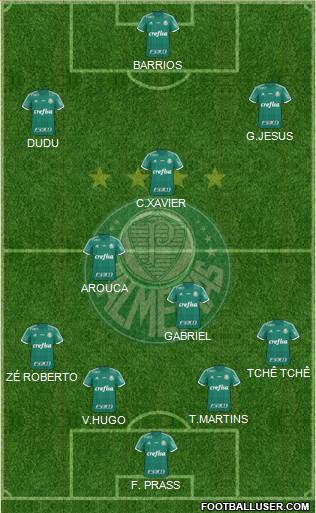 SE Palmeiras Formation 2016