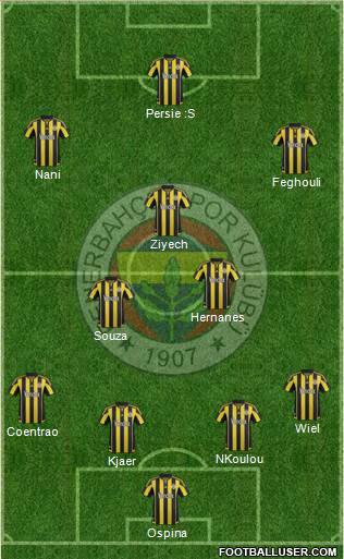 Fenerbahçe SK Formation 2016