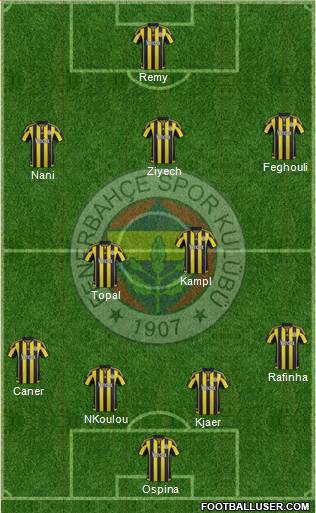 Fenerbahçe SK Formation 2016