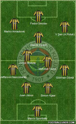 Fenerbahçe SK Formation 2016