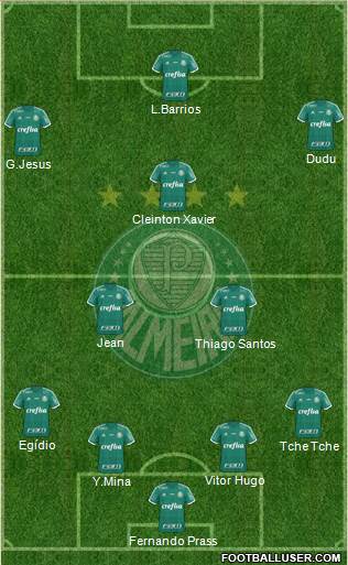 SE Palmeiras Formation 2016