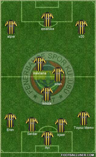 Fenerbahçe SK Formation 2016