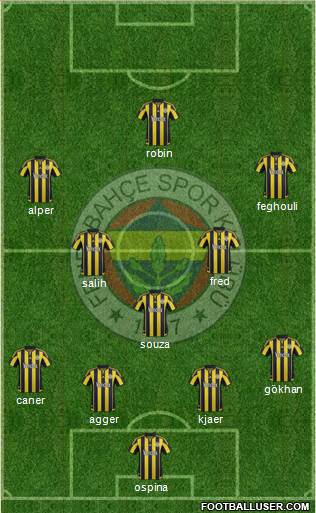 Fenerbahçe SK Formation 2016