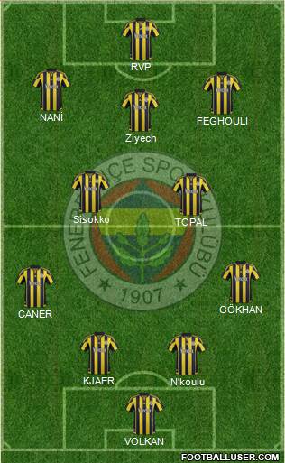 Fenerbahçe SK Formation 2016