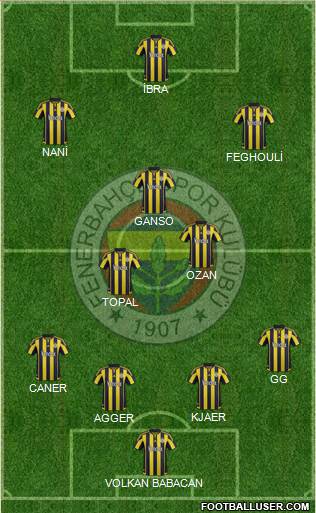 Fenerbahçe SK Formation 2016