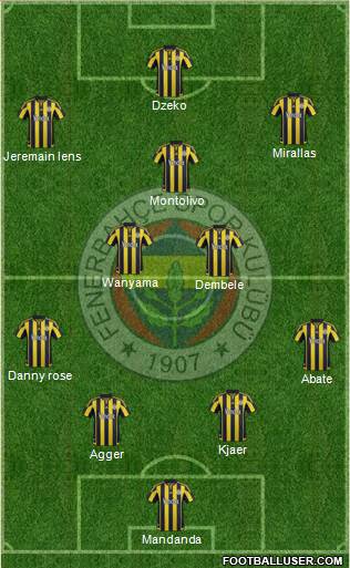 Fenerbahçe SK Formation 2016