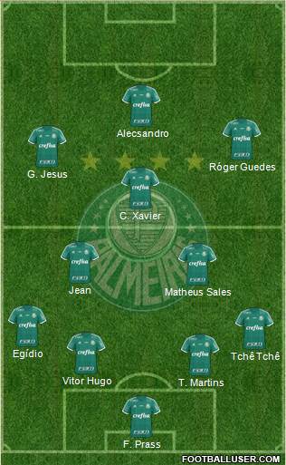 SE Palmeiras Formation 2016