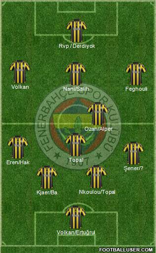 Fenerbahçe SK Formation 2016