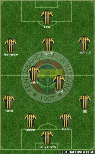 Fenerbahçe SK Formation 2016