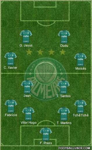 SE Palmeiras Formation 2016