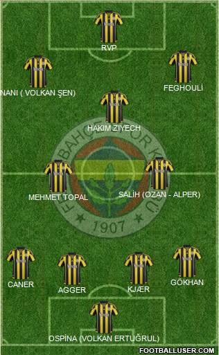 Fenerbahçe SK Formation 2016