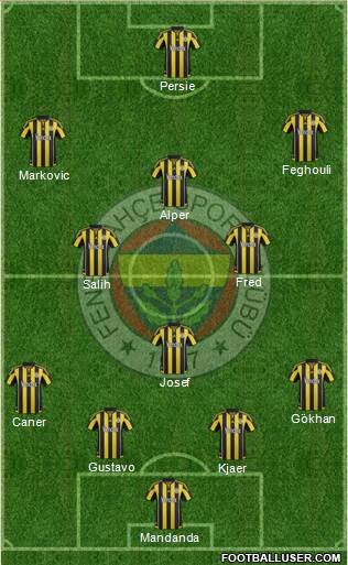 Fenerbahçe SK Formation 2016
