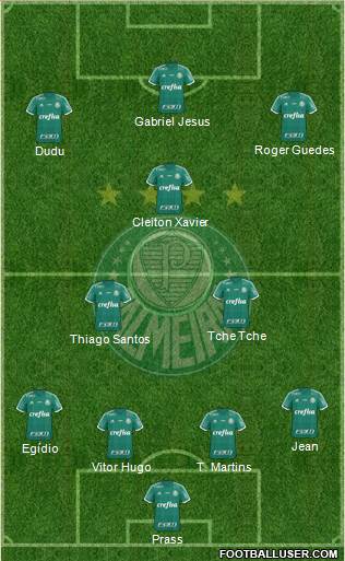 SE Palmeiras Formation 2016