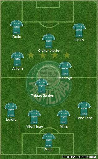 SE Palmeiras Formation 2016