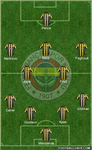 Fenerbahçe SK Formation 2016