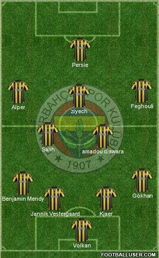 Fenerbahçe SK Formation 2016