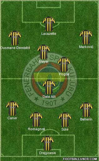 Fenerbahçe SK Formation 2016